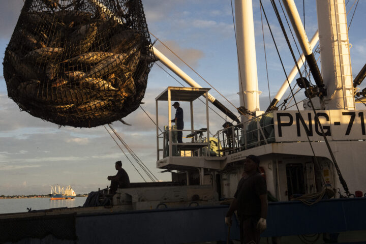 Pescadors mouen una xarxa de pesca amb tonyines capturades a Funafuti, la capital de Tuvalu (fotografia: Carolyn Van Houten/The Washington Post).