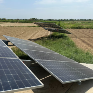 “Té una cara fosca”: al Paquistan, l’auge de l’energia solar dispara la factura elèctrica dels pobres