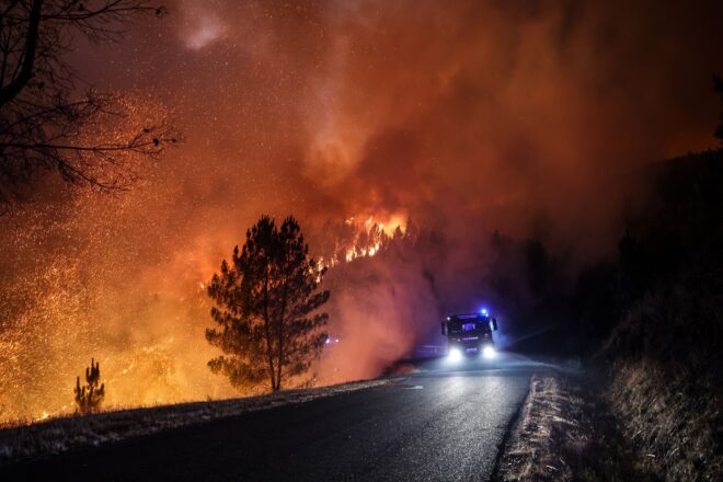 Els incendis devasten la Mediterrània: 38 morts, més de 150.000 desallotjats i rècord de superfície cremada