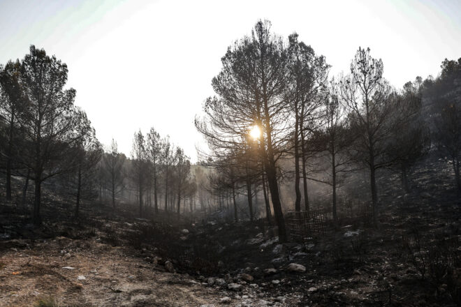 Els bombers encerclen l’incendi de Teresa de Cofrents, que ja ha cremat 504 hectàrees