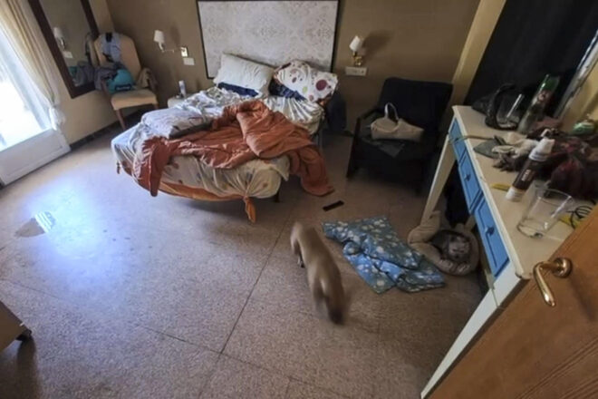 La mort d’un jove amb paràlisi cerebral destapa una residència il·legal per a dependents a Elx