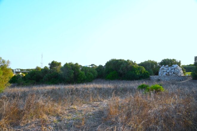 Dimissions, un pont que destrueix l’entorn i interessos polítics: per què Menorca pot perdre la declaració de patrimoni mundial?