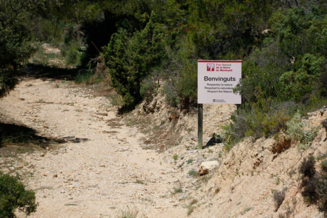 Alerten de la paralització dels parcs naturals de Catalunya: “El plans d’incendis quedaran en paper mullat”