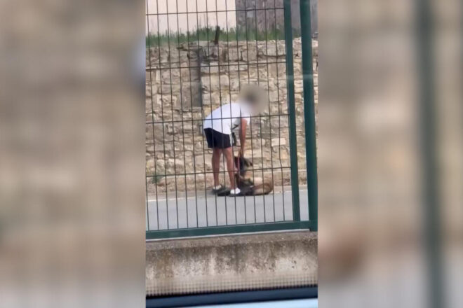 Un vídeo viral destapa un cas de maltractament animal a Calaf