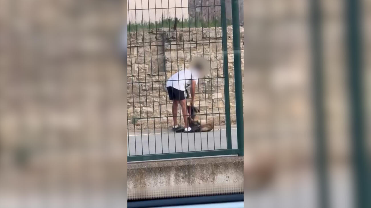 Un vídeo viral destapa un cas de maltractament animal a Calaf