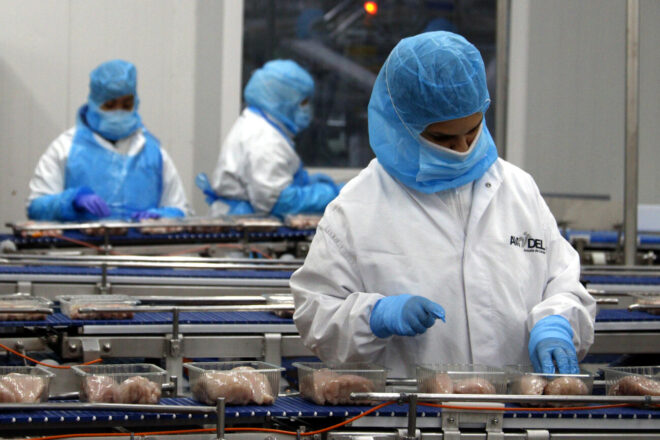 La pesta porcina africana destapa les vergonyes laborals del sector carni