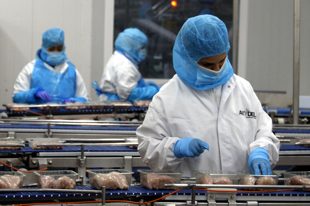 Imatge d'arxiu d'una treballadora envasant carn en un escorxador de Lleida.