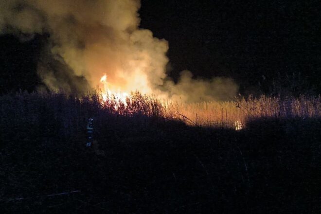 L’incendi forestal de s’Albufera (Alcúdia) es complica i ja es treballa en cinc focus actius