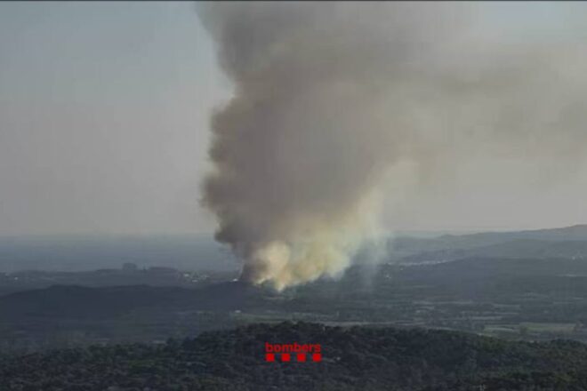 Els bombers treballen per apagar un incendi de vegetació a Palamós