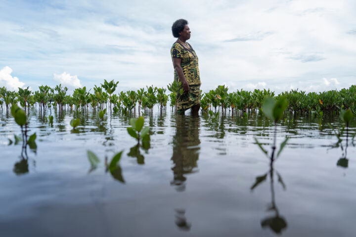 Marina Sarawaqa mira a l'horitzó als manglars que plantà per protegir la costa del poble de Vunisavisavi, a Fiji, de l'augment del nivell de la mar (fotografia: Carolyn Van Houten/The Washington Post).