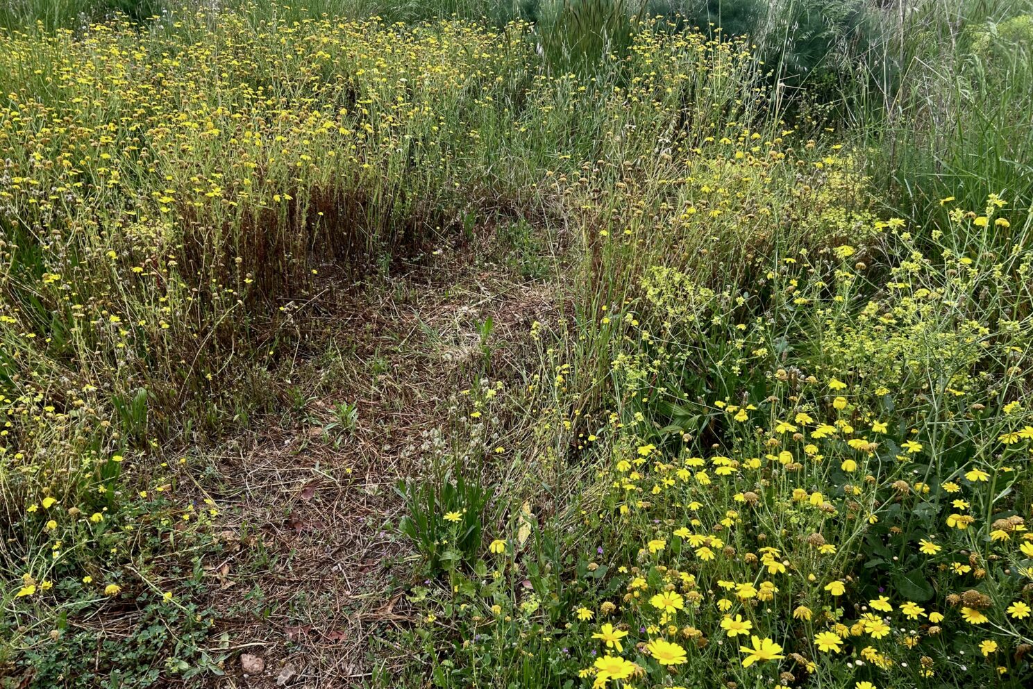 Closcadelletra (CDLXXV): No et banyes mai dues vegades en el mateix riu