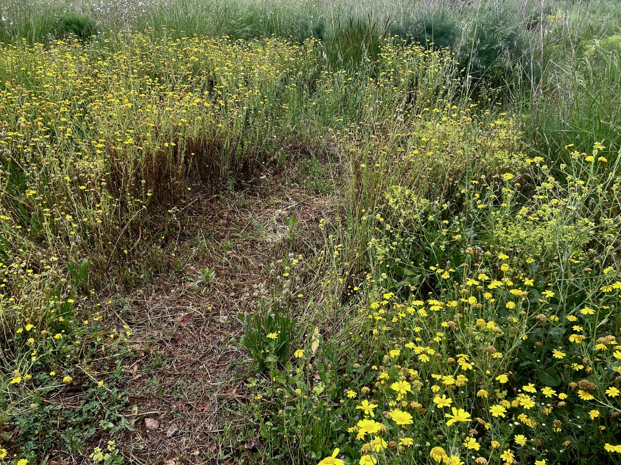 Fotografia: Jean-Marie del Moral.
