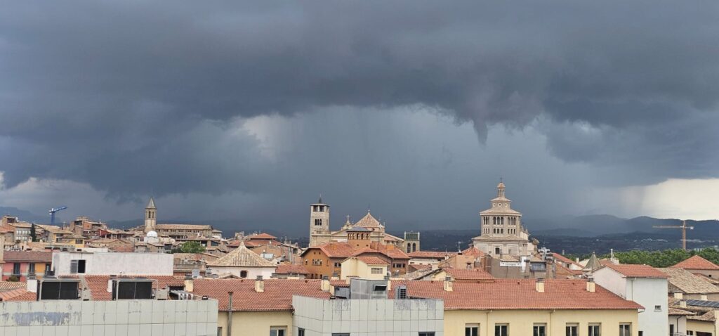 Tempesta vic 08110053