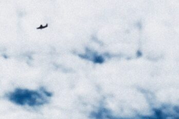 Detall de la coberta de 