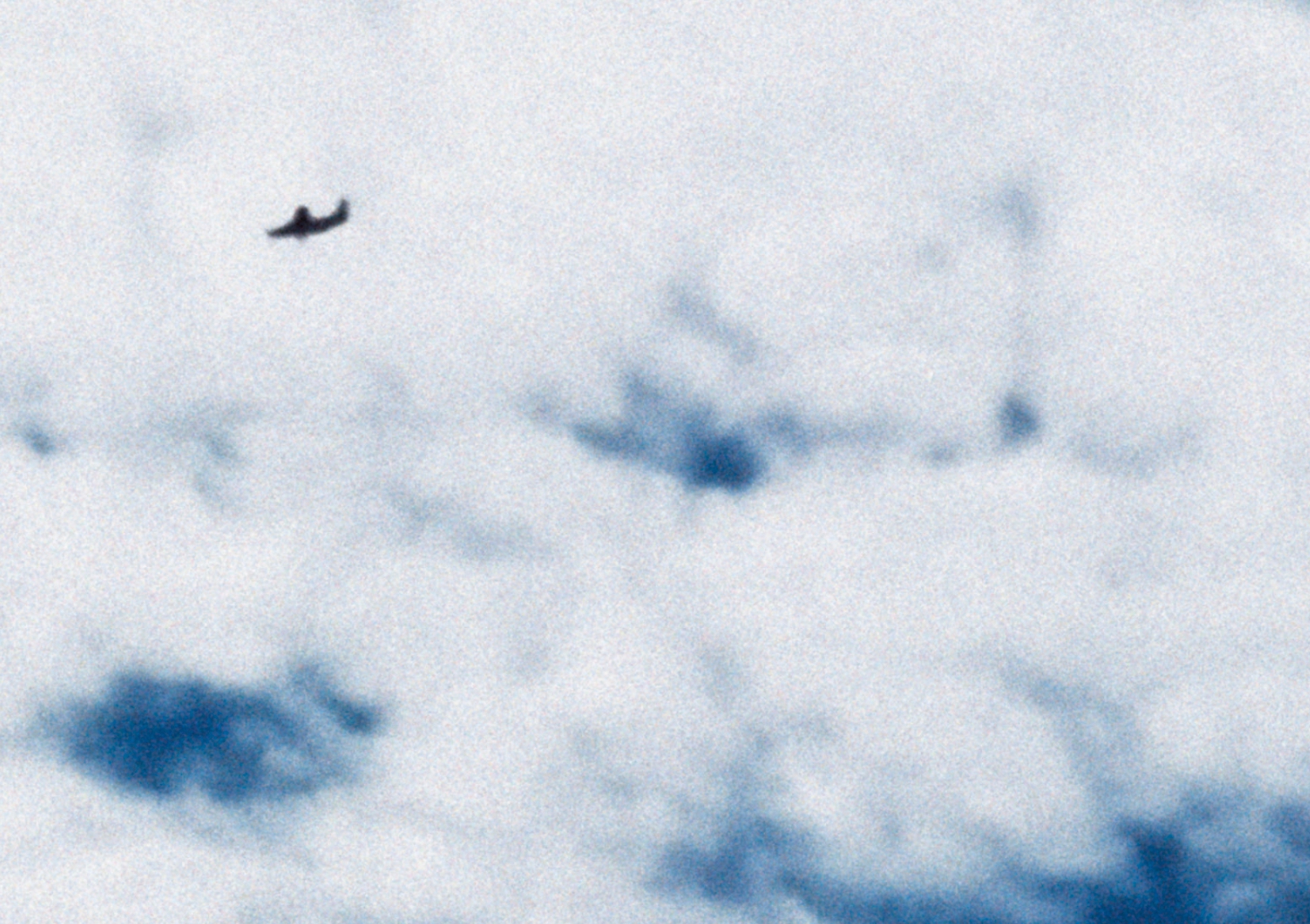 Detall de la coberta de 