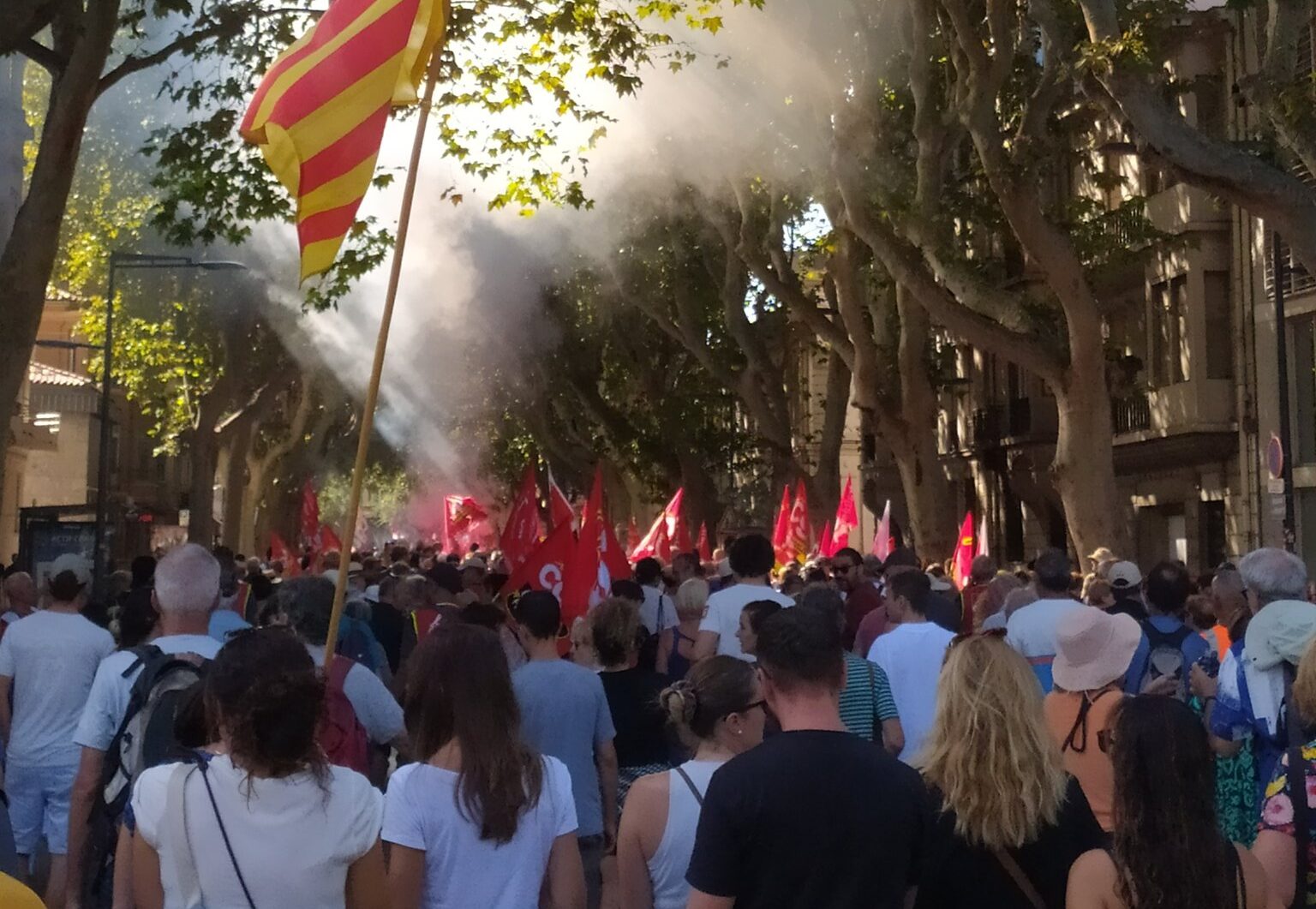 Manifestació a Perpinyà durant la vaga general. Fotografia: Fem Catalunya Nord.