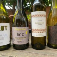 Quatre vins de cooperatives que val la pena de conèixer, amb un preu imbatible