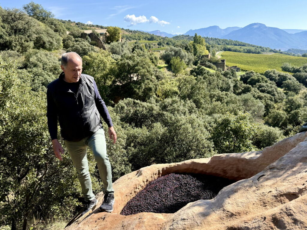 Raül Bobet: “Hem de fer pinya per la llengua, pel paisatge, per la cultura, pel vi, per la gent”