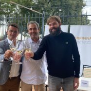 Escumosos de Clàssic Penedès obren el camí cap a Corpinnat