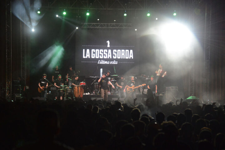 Concert de la Gossa Sorda durant la Diada del Vint-i-cinc d'Abril de 2015. Fotografia: © PRATS i CAMPS.