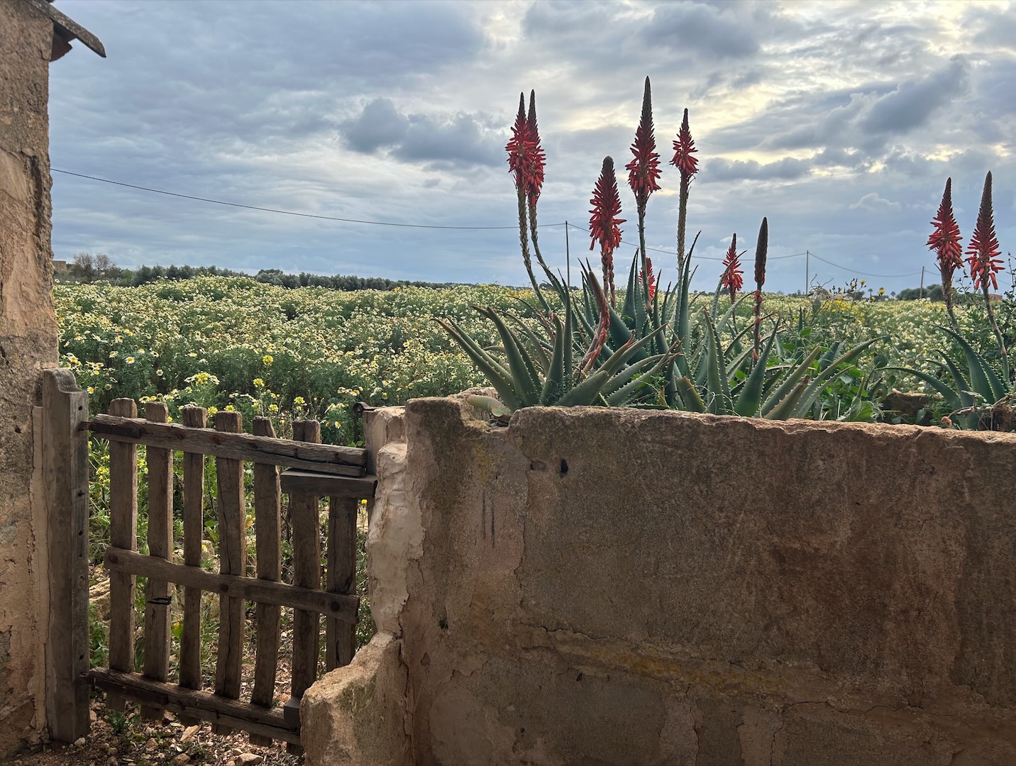 Fotografia: Jean-Marie del Moral.