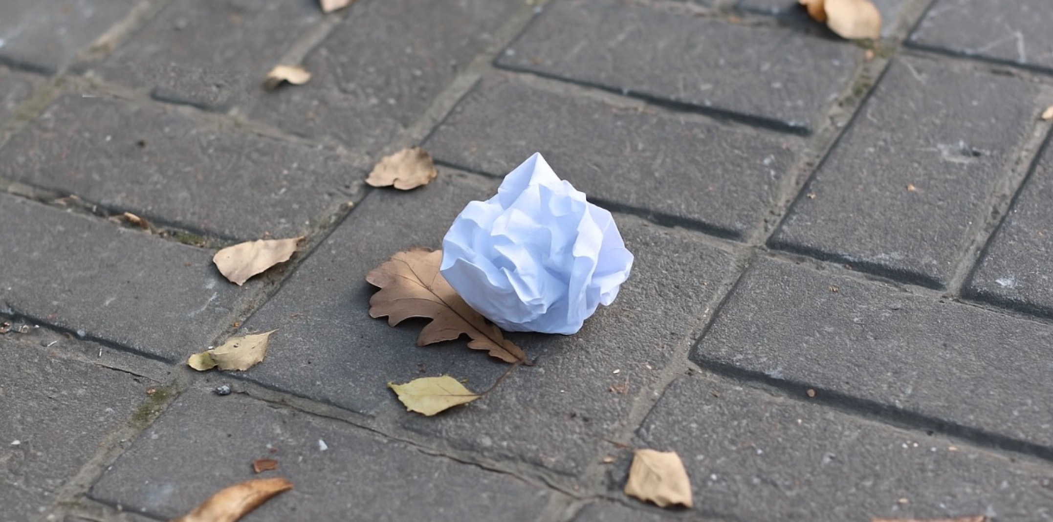 Fotografia: Unsplash.