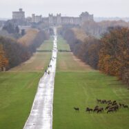 Cinc ocasions en què la família reial britànica s’ha girat d’esquena als seus membres