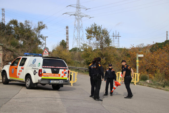 Confirmen tretze senglars amb pesta porcina africana a la zona de Collserola