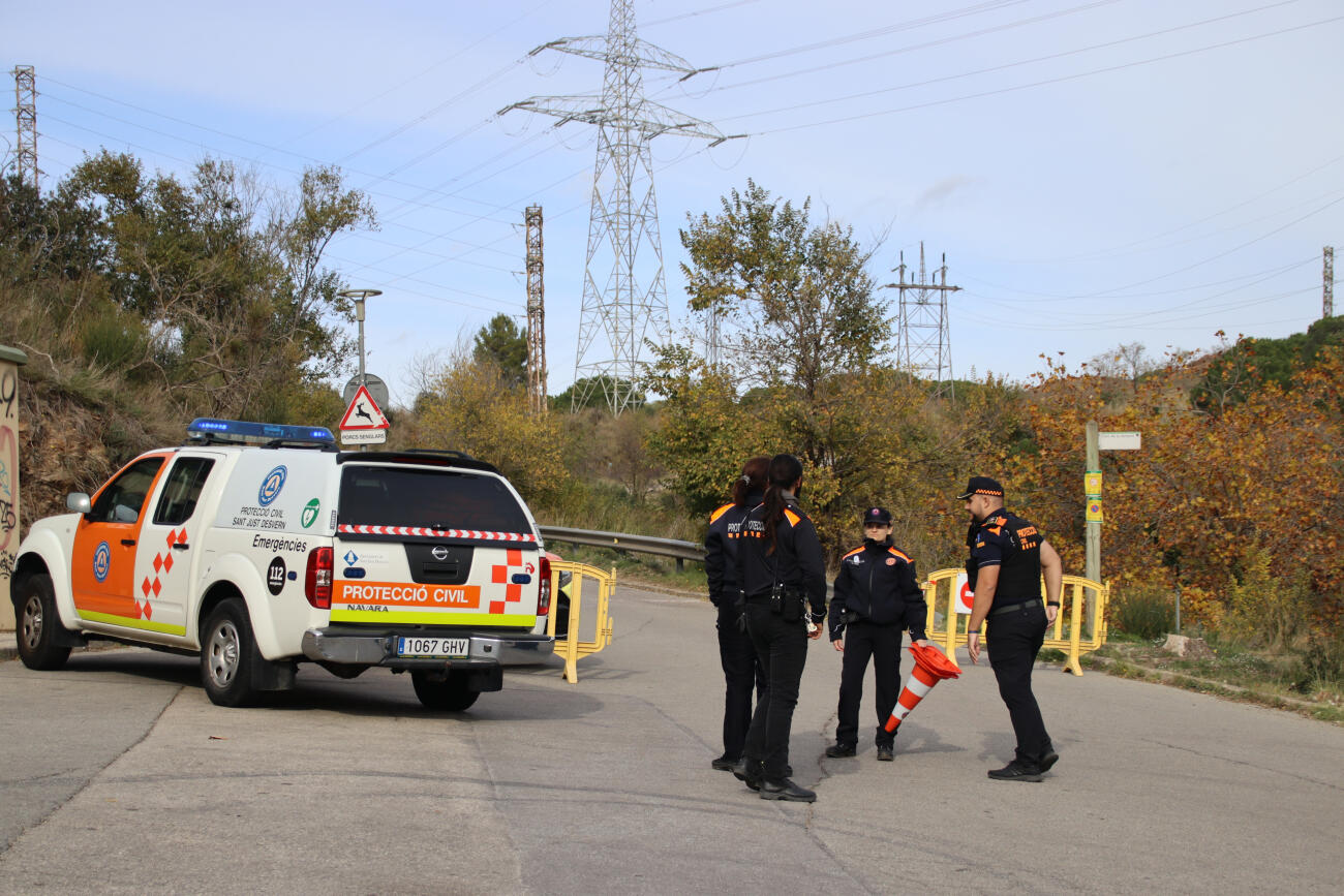 Confirmen tretze senglars amb pesta porcina africana a la zona de Collserola