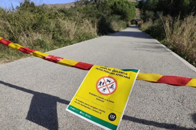 Ja hi ha nou casos de pesta porcina africana en senglars a Cerdanyola