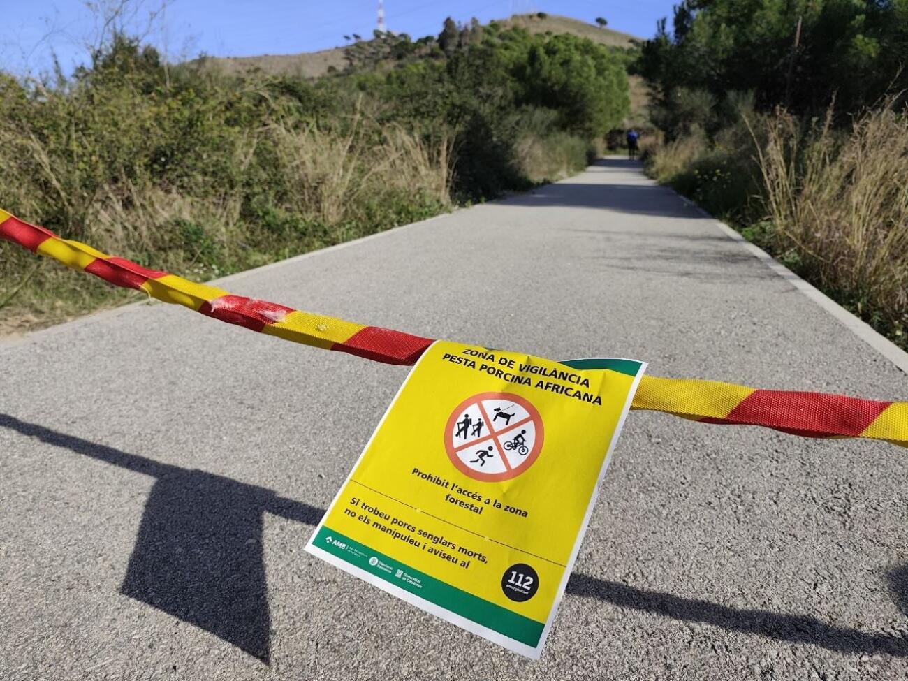 Un cartell avisa de la prohibició d'accés al parc de Collserola és una zona de vigilància per la pesta porcina africana (fotografia: ACN).