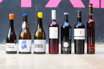Vins de la DO Empordà. Fotografia: Vilateral.