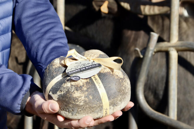 Un formatge català fet al Moianès triomfa als “Oscar” dels formatges