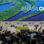 Que hi ha en joc a la COP30 del Brasil?