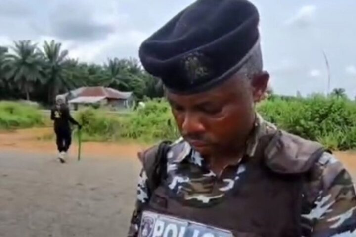 Imatge d'arxiu d'un agent de la policia a Nigèria.