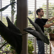 “Per a nosaltres, aquesta guerra no s’ha acabat”: ni tan sols l’alto-el-foc pot aturar la fugida de cervells d’Israel