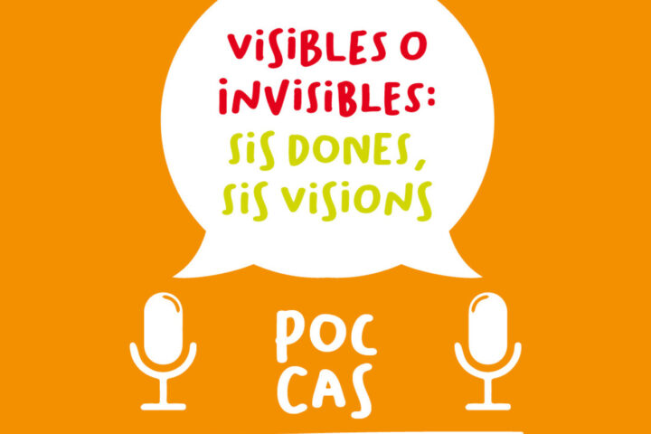 Visibles o invisibles: sis autores, sis visions