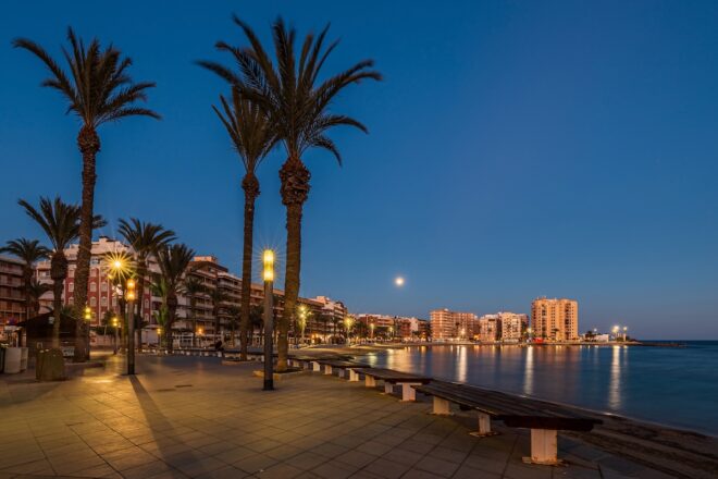 S’ha mort un jove a qui ha caigut una palmera damunt el cotxe a Torrevella