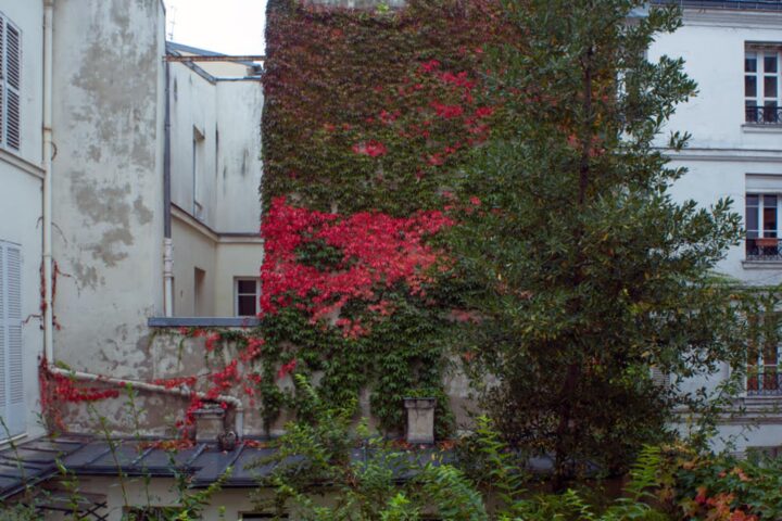 Fotografia: Jean-Marie del Moral.