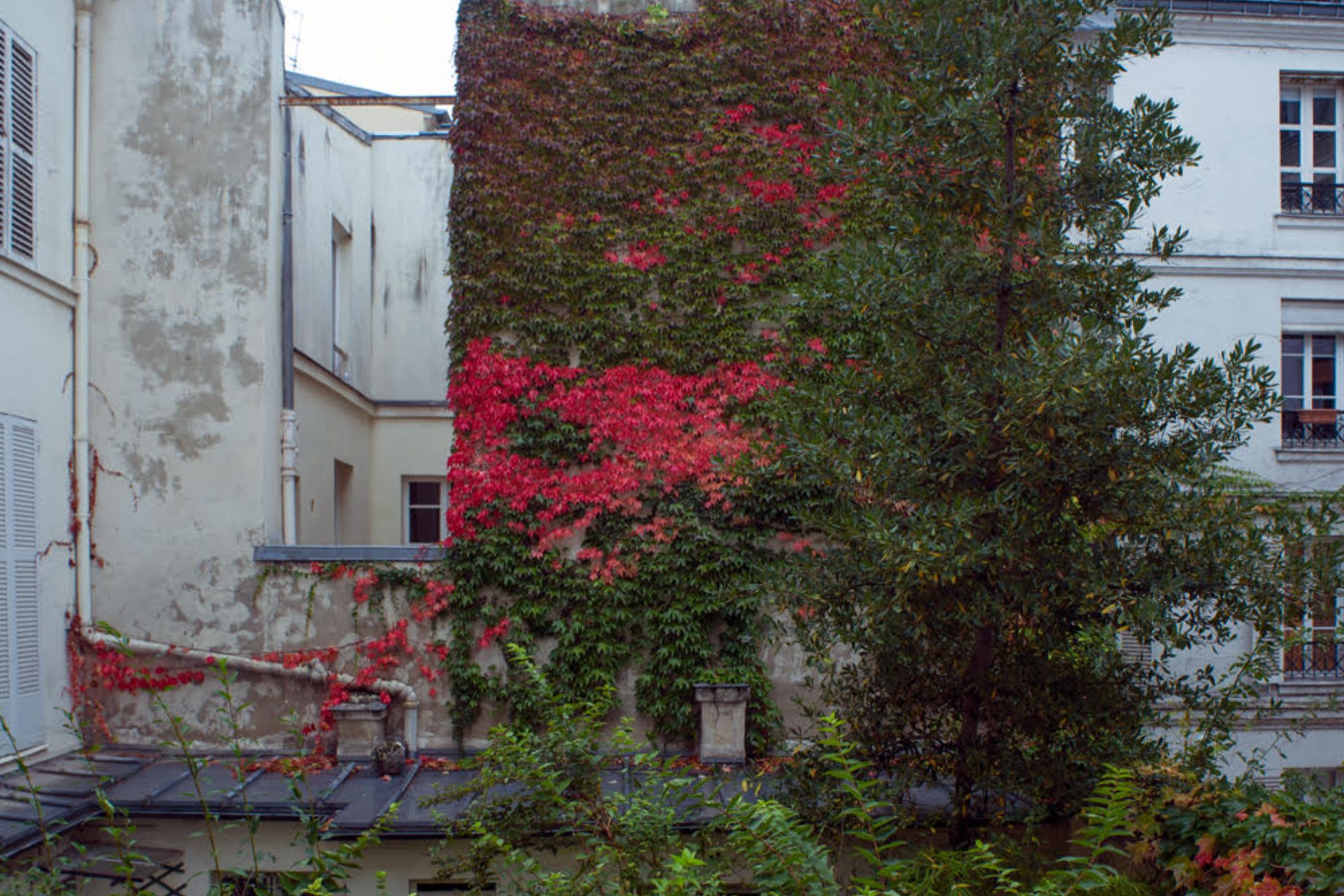 Closcadelletra (CDLXXXIII): Atacar per tots els angles