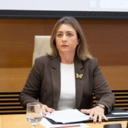 Una veïna de Benetússer deixa glaçat el congrés relatant com va intentar salvar la petita Hui