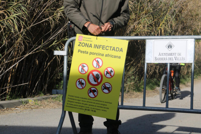 Un miler de mossos d’esquadra vigila les zones restringides per la pesta porcina