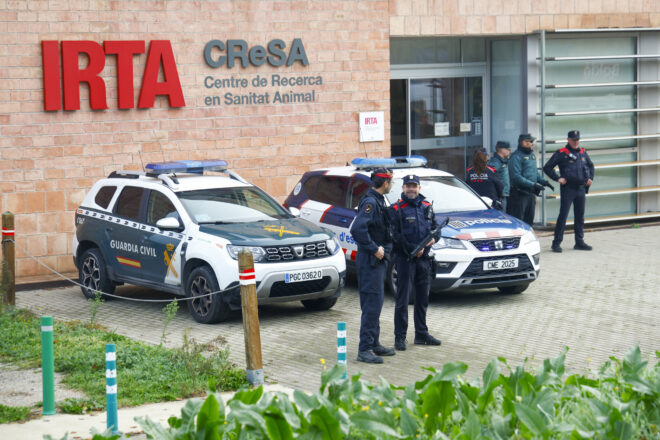 Els TEDAX recullen mostres de l’IRTA-CReSA per comprovar si coincideixen amb el brot de pesta porcina