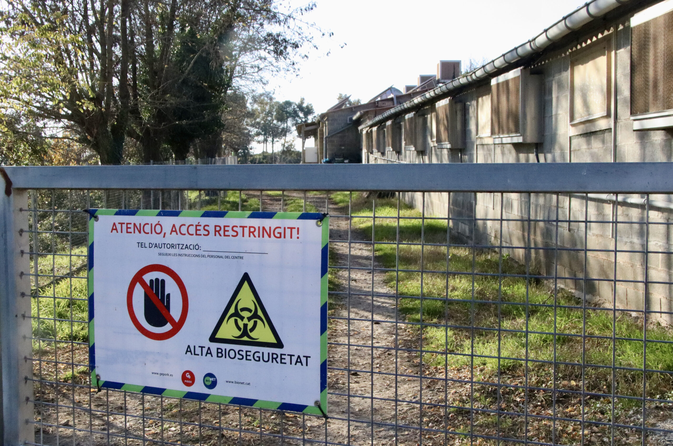 Fotografia: ACN / Laura Busquets.