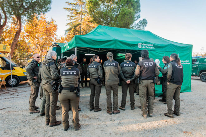 Els Agents Rurals valoren positivament l’evolució de la pesta porcina, però amplien el radi d’inspecció