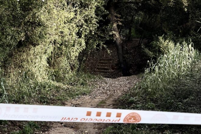 Tanquen el parc natural de Collserola arran d’un nou cas de pesta porcina a Barcelona