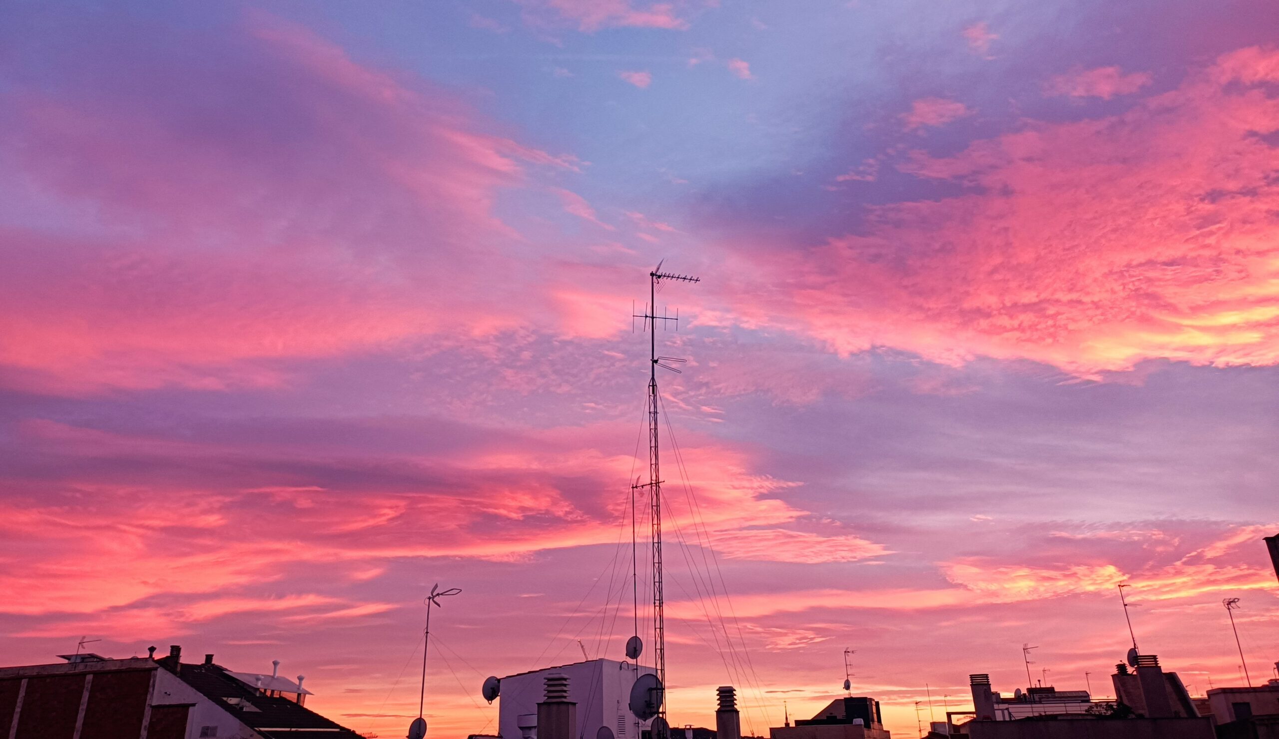 Cel del Guinardó, desembre del 2022 (fotografia: Mercè Ibarz).