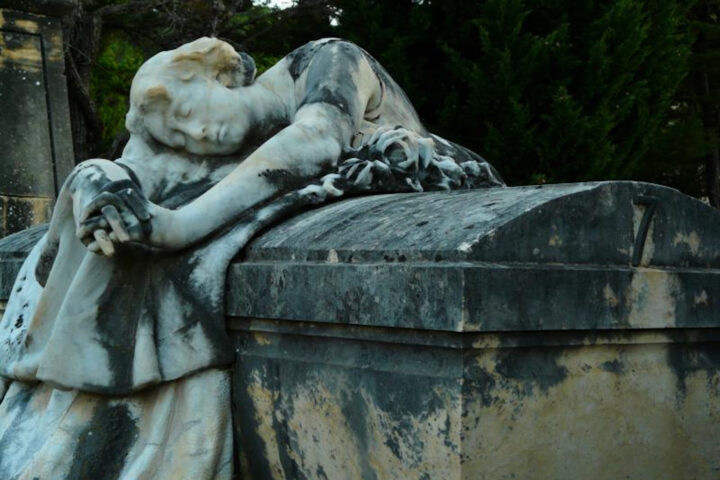 Imatge d'arxiu del cementiri d'Alcoi (fotografia: Xavier).