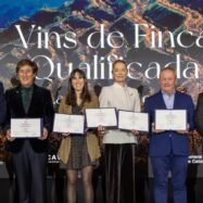 Cinc Vins de Finca Qualificada nous ancorats als anys noranta