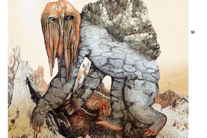 El Micó de les mines de sal de Cardona.